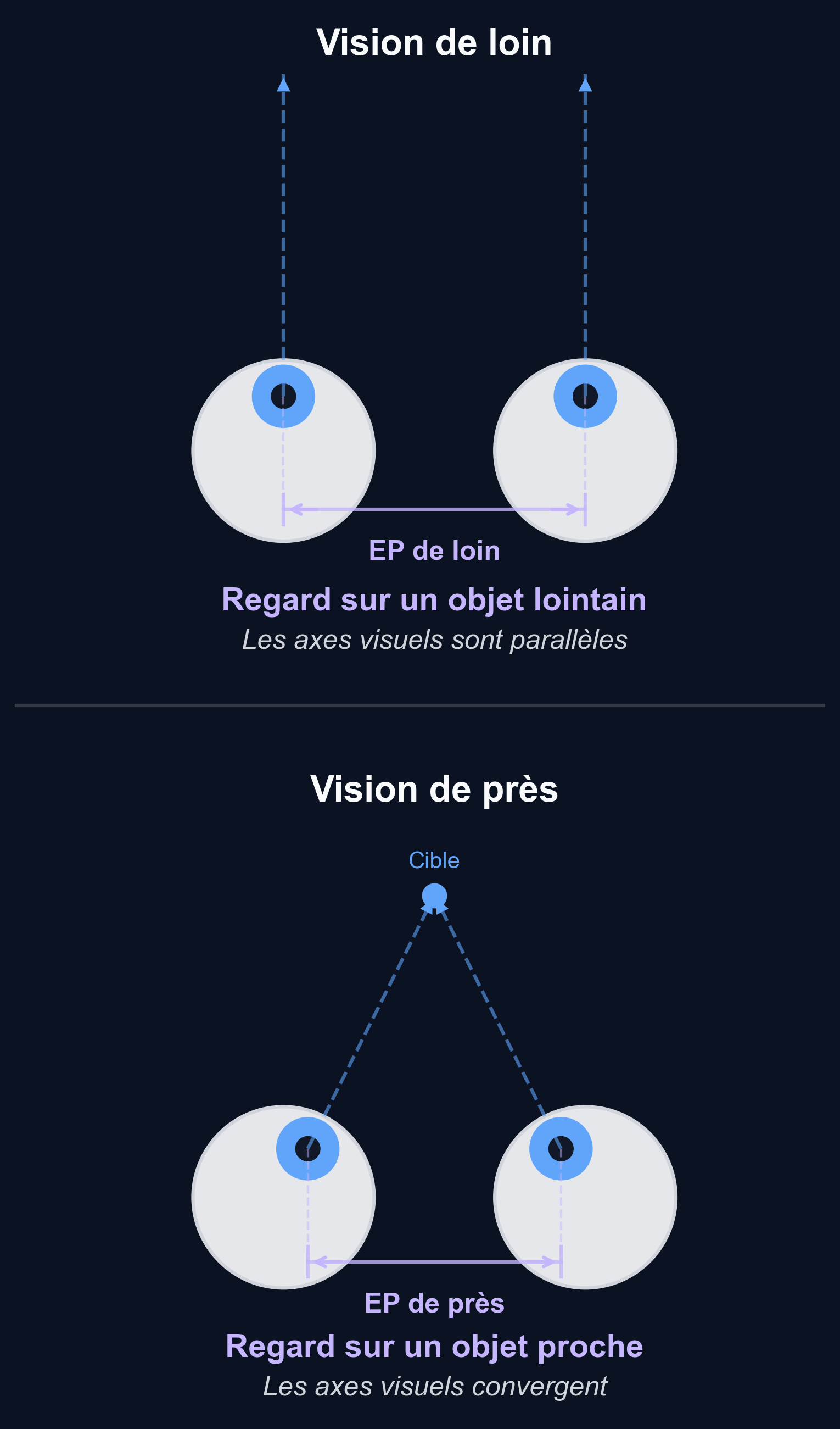 Schéma montrant comment les yeux convergent (pivotent vers l'intérieur) en fixant un objet proche, ce qui réduit l'écart pupillaire par rapport à la vision de loin