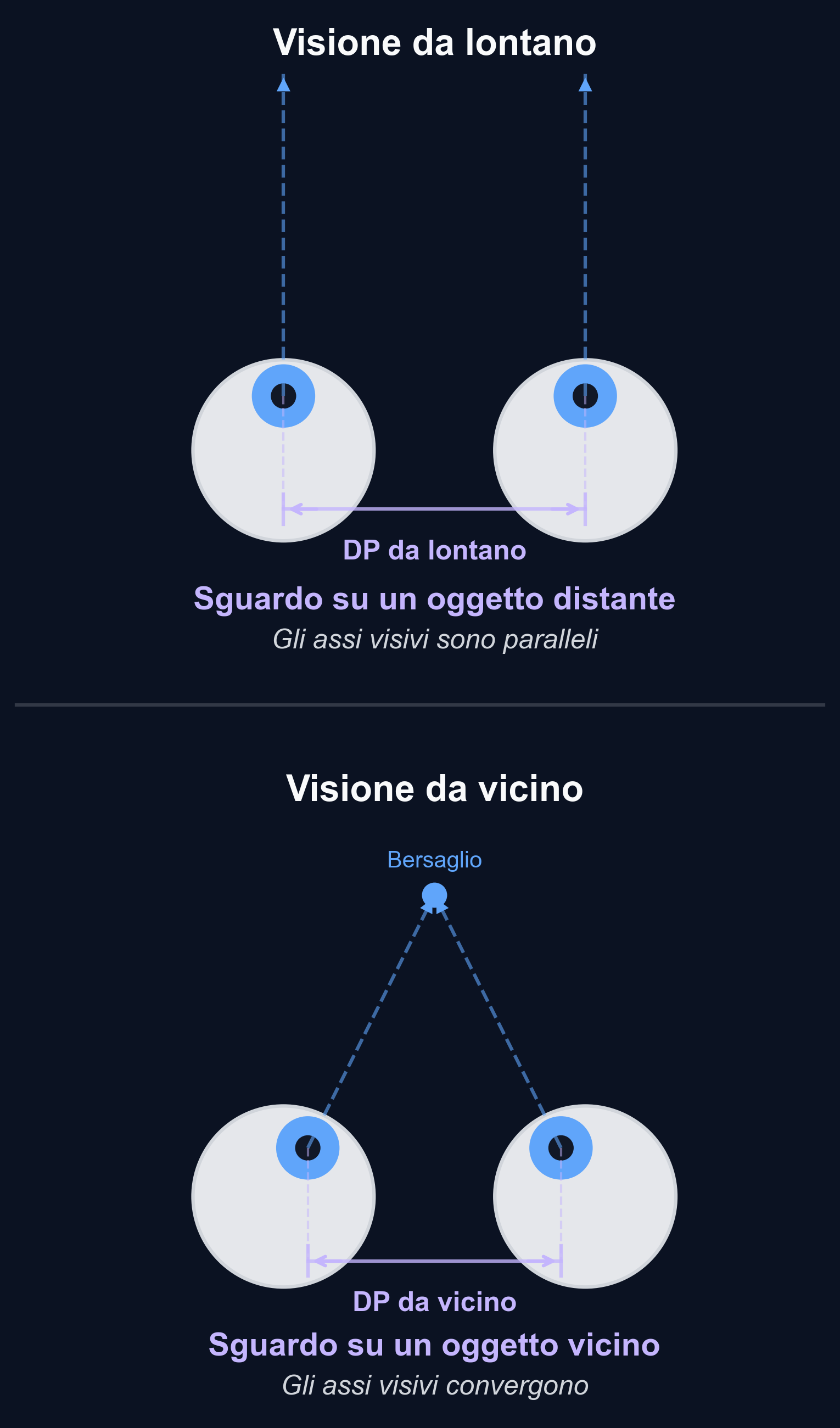 Schema che mostra come gli occhi convergono (ruotano verso l'interno) fissando un oggetto vicino, riducendo la distanza interpupillare rispetto alla visione da lontano