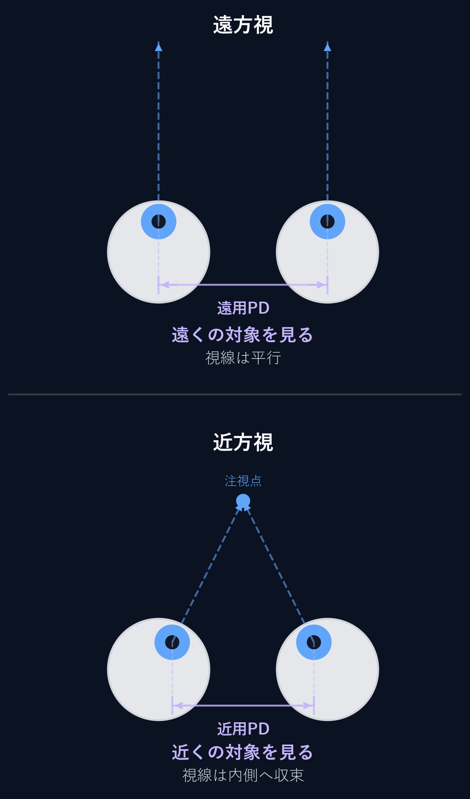 近くを見ると目が内側に寄り、遠くを見るときより瞳孔間距離が小さくなる仕組み