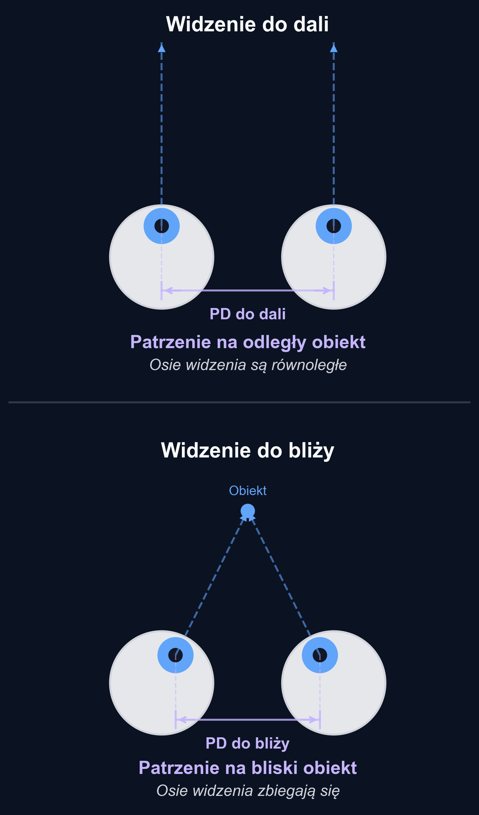 Diagram przedstawiający, jak oczy obracają się do wewnątrz (zbiegają się) podczas skupiania uwagi na bliskim obiekcie, co skutkuje mniejszą rozstawem źrenic w porównaniu do patrzenia z daleka